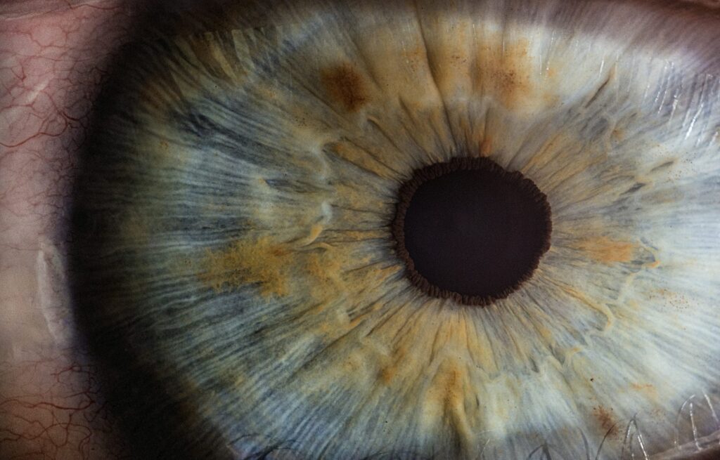 Close-up macro photo of a human eye, illustrating eye health and vision care